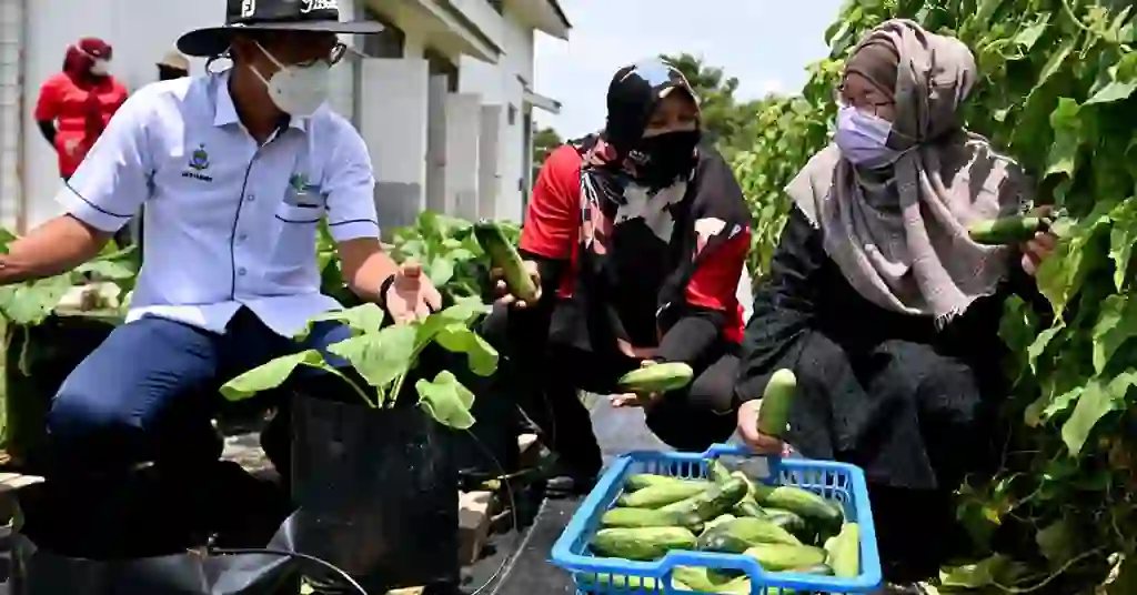 Program Pertanian Bandar