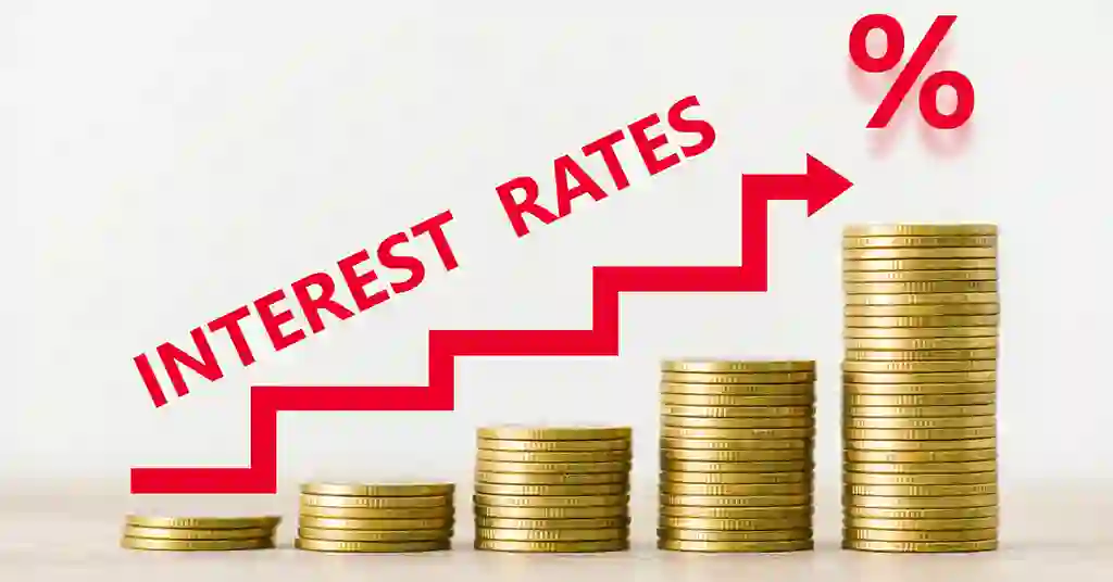 Touch n Go GOpinjam Interest Rate